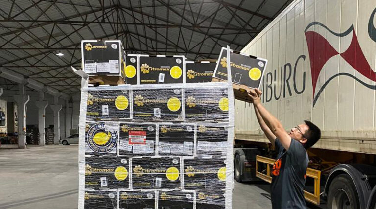 El limón tucumano llegó a China y se abren «nuevos horizontes productivos», según el Gobierno