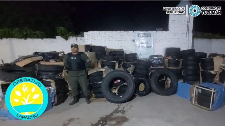 Un centenar de neumáticos fueron decomisados por Gendarmería